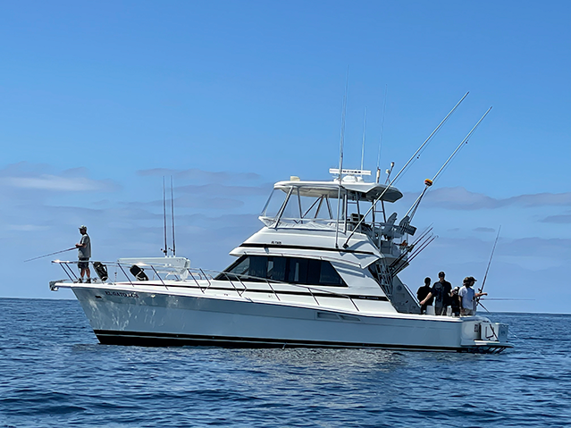 El Gato Dos Sportfishing San Diego Top 6-Pack